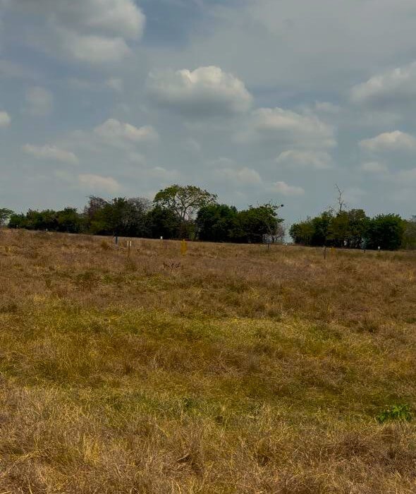 Toscana Condominio Campestre